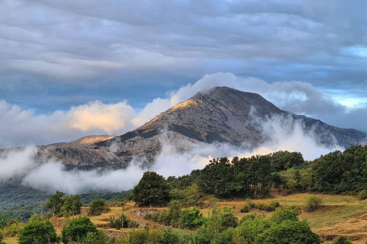 download-8 download-8